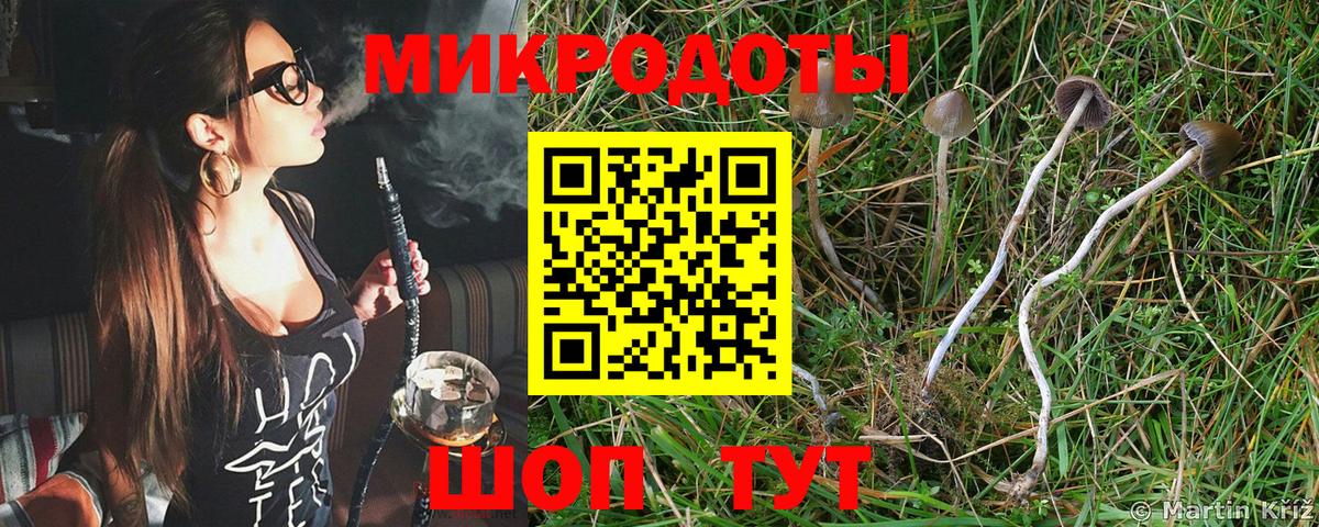 Алатырь  Галлюциногенные грибы Psilocybe  Вход с VPN  Галлюциногенные грибы Psilocybe 
