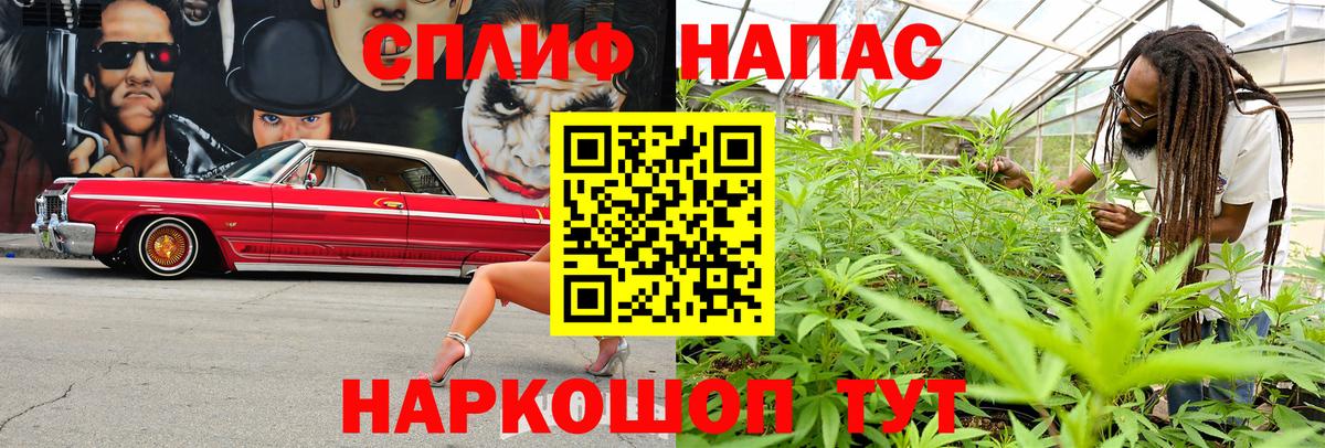 Марихуана конопля  Бошки марихуана гибрид  Шишки марихуана планчик  Алатырь  МАРИХУАНА VHQ  Вход с VPN 